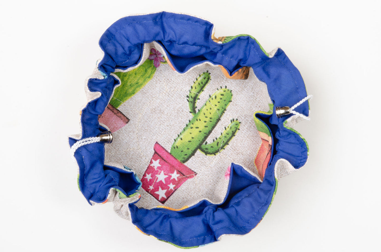 Cactus y suculentas