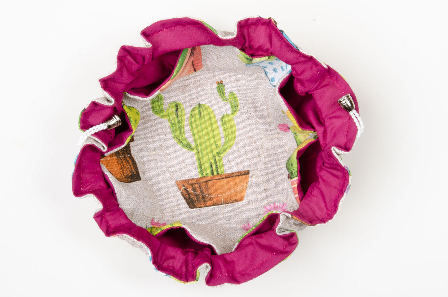 Cactus y suculentas